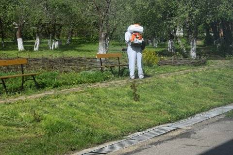 DSC_0351.JPG