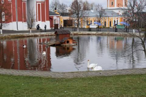 DSC_1003.JPG