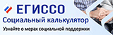 Социальный калькулятор ЕГИССО